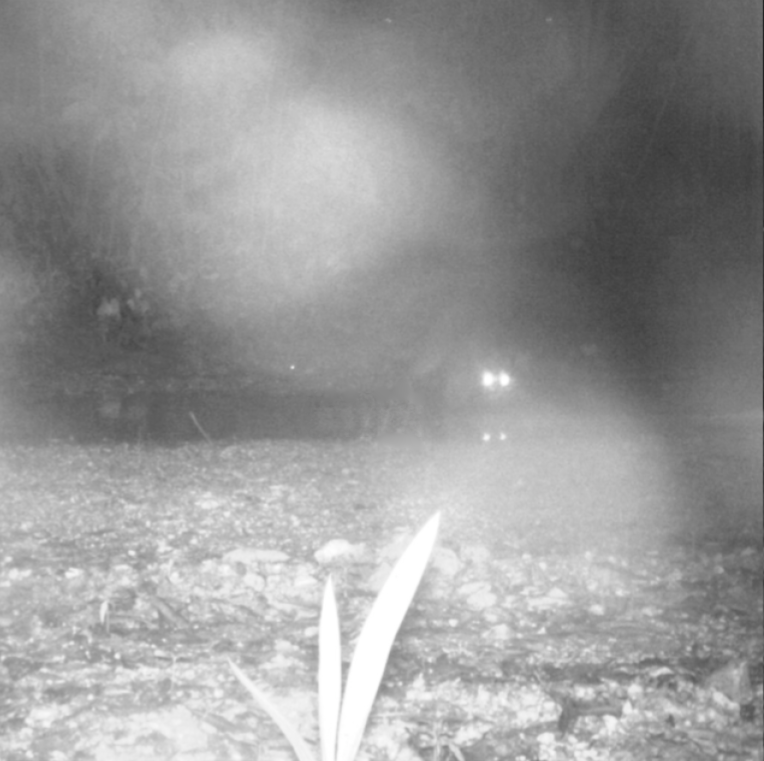 LQ Sensor Image