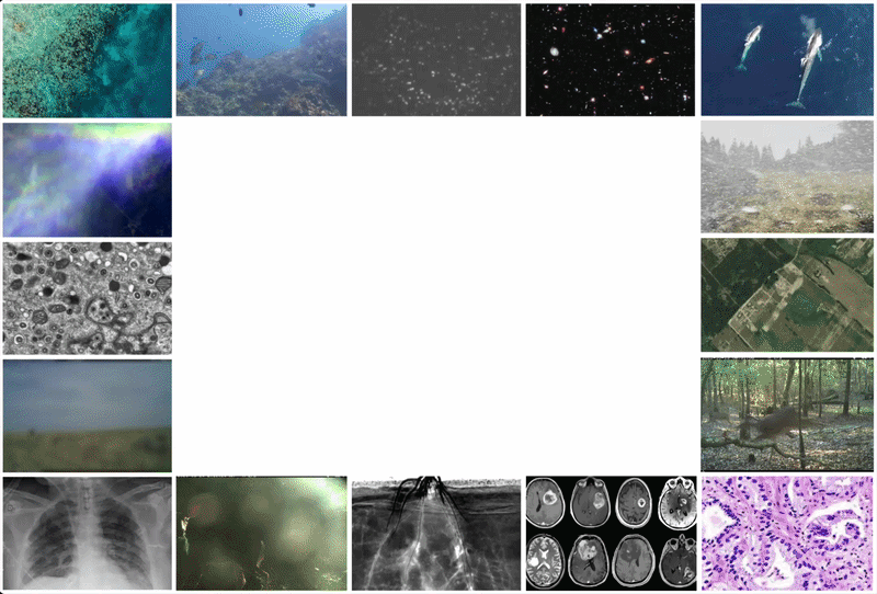 Science complexity